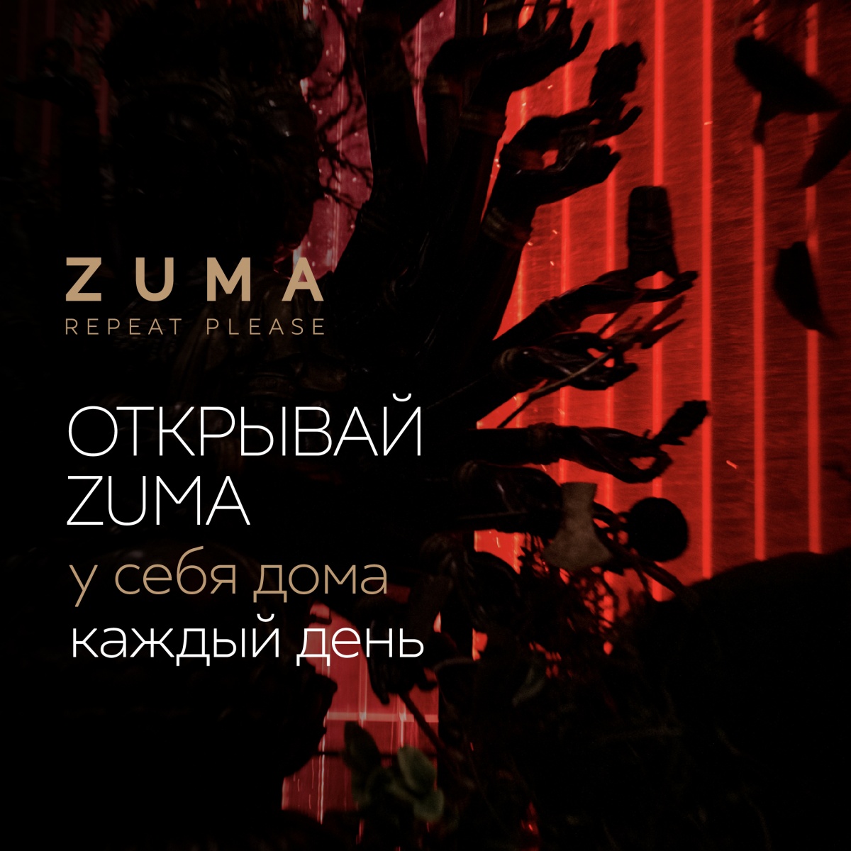  ZUMA     