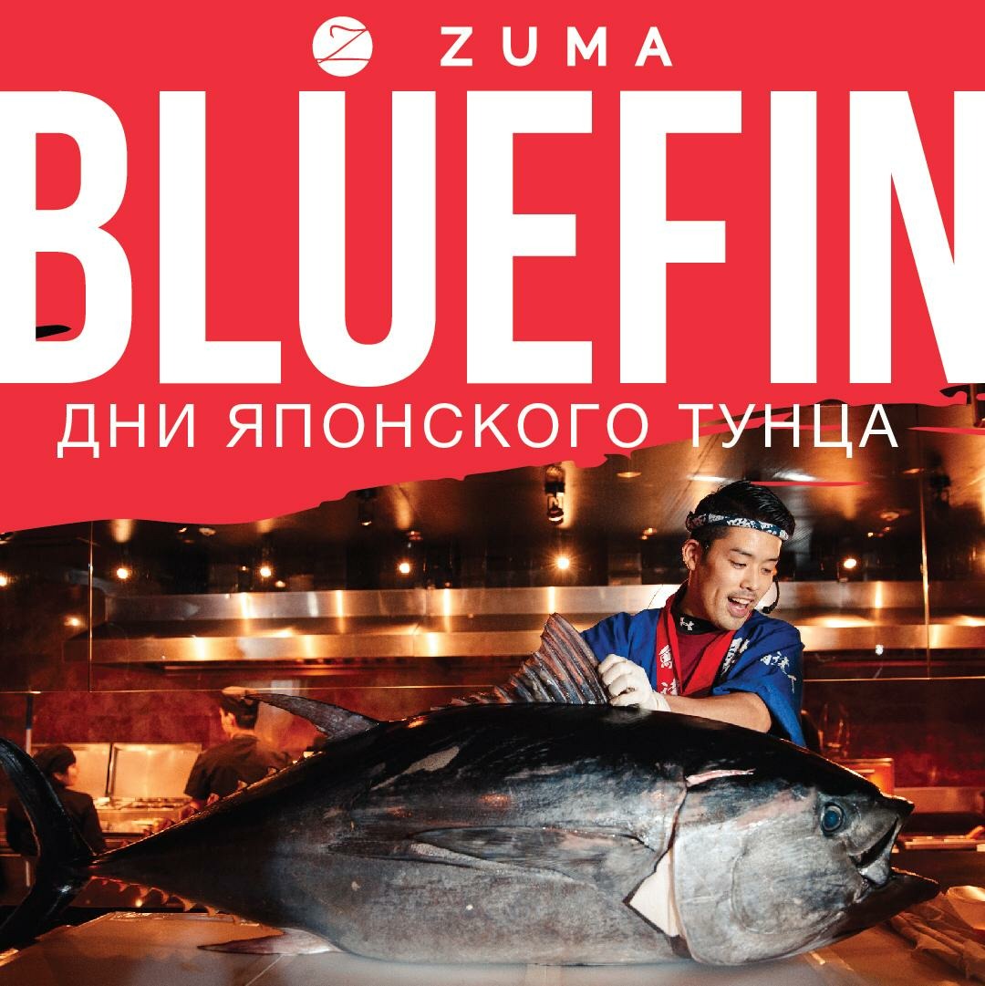     ZUMA!