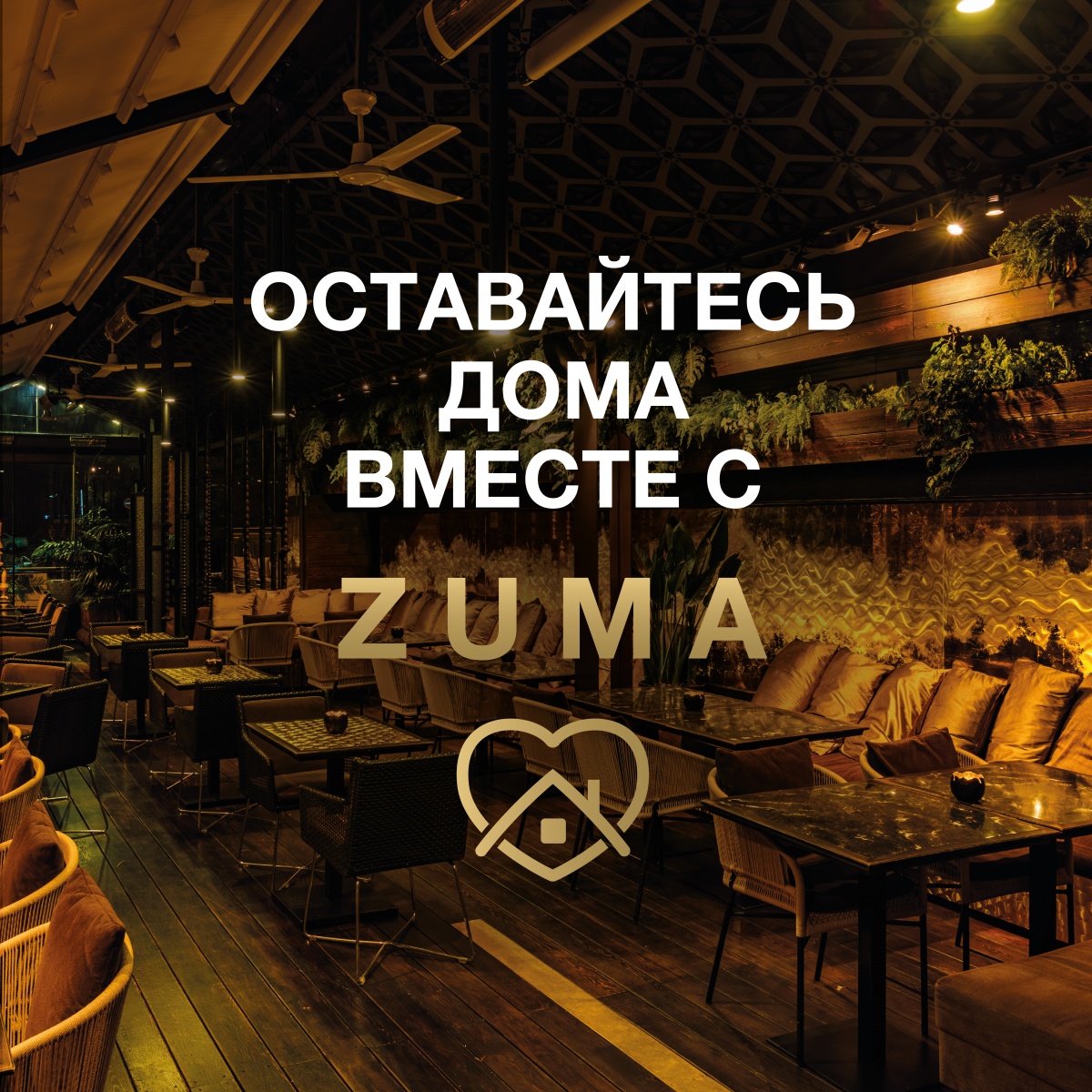     Zuma