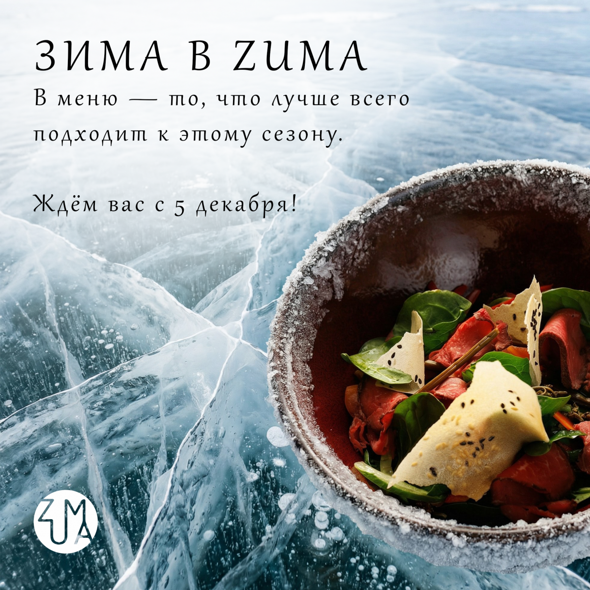 ������� � ZUMA. ����� ����� � ����������� �������