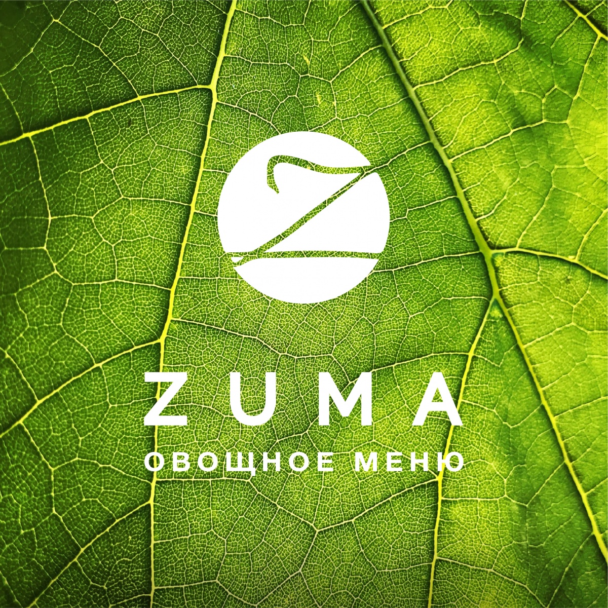    Zuma